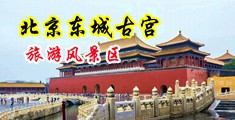 嫩穴淫水12p中国北京-东城古宫旅游风景区